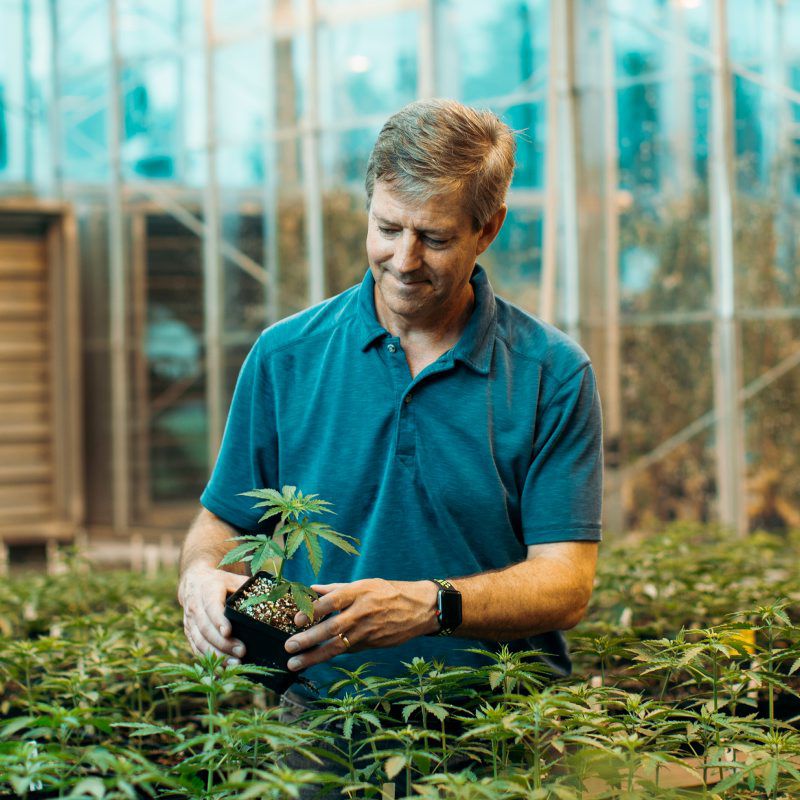 The Genetics of Hemp with Cornell University's Larry Smart